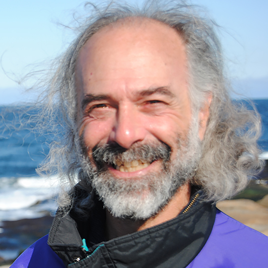 Steve Goldstein