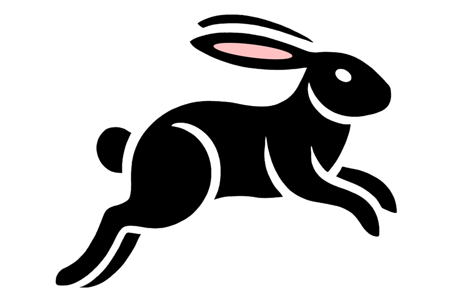 An illustration of a hopping rabbit