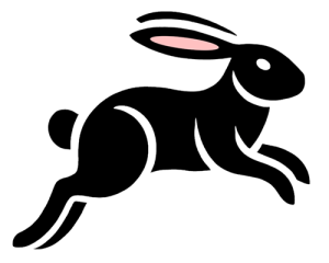 The RABBIT logo: an illustration of a hopping rabbit
